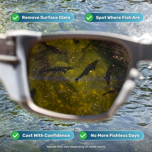 🏆Flash Sale⚡ 50K+ SOLD⏰✨| DeviNuman® Fishing Glasses